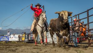 Rodeo – Sat, Aug 24